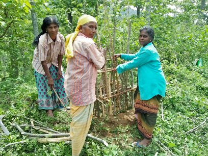 Organic Farming